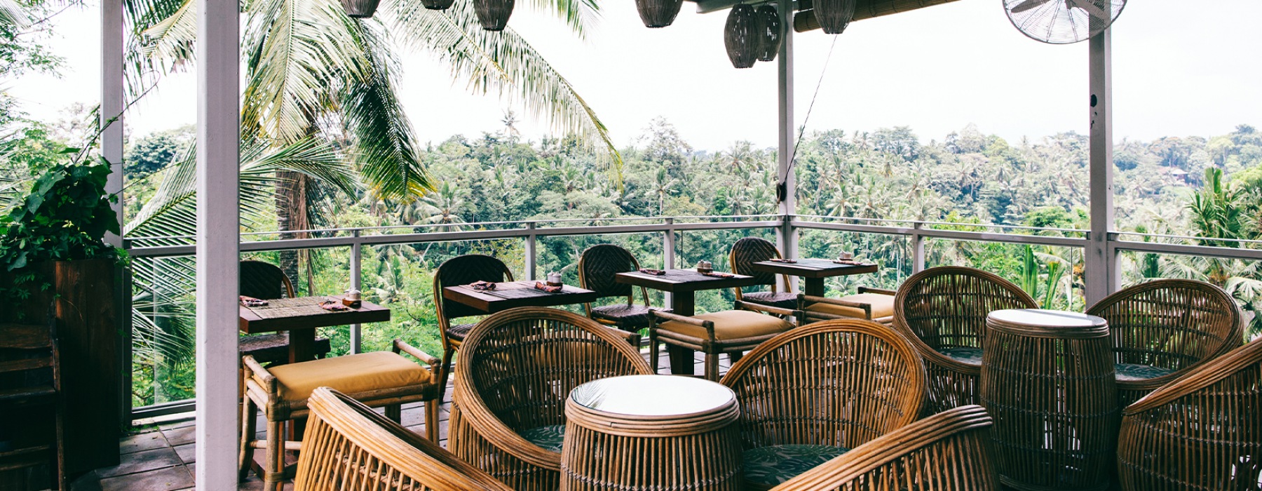 Rooftop seating at a local restaurant overlooking the surrounded trees from above